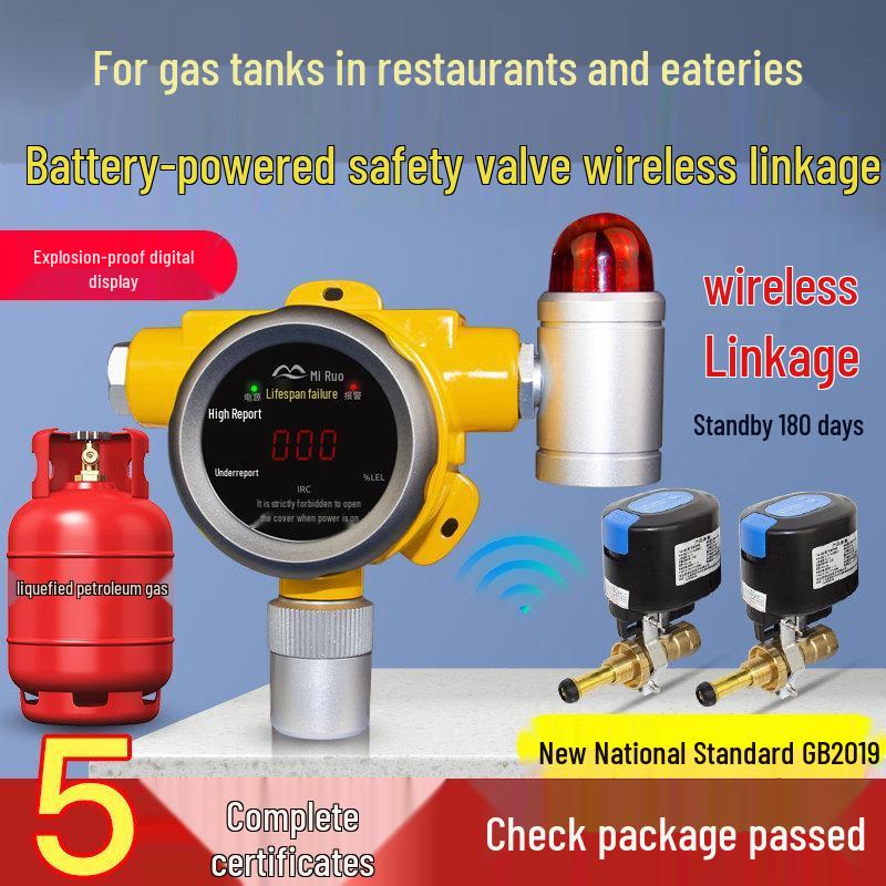 MDNG Baurui Wireless Gas Leak Detector CN plug (adapter included)