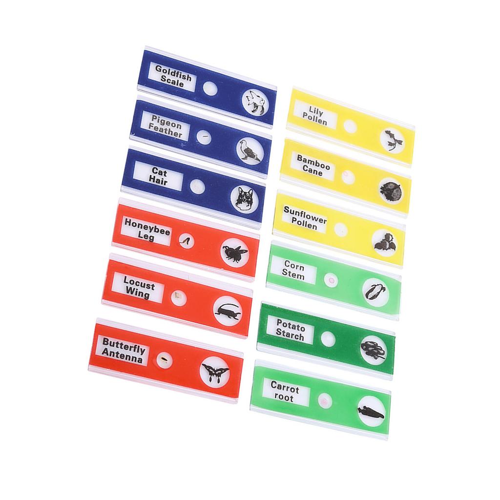 12pcs Plastic Prepared Microscope Slides Animals Insects Flowers Plants Mix Color