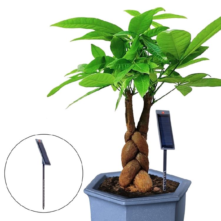 Garden Plant Moisture Meter Long Probe Soil Moisture Detector Solar Power Moisture Meter Soil Moisture Testing Tool