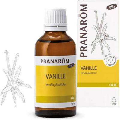 Vanilla Oil - Vanilla Planifolia