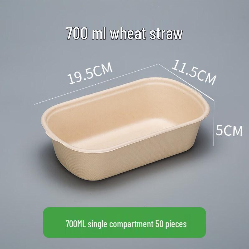 

ZISIZ Disposable Food Container