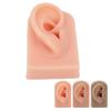 Silicone Ear Model Soft Flexible Right Ear Reusable Human Ear Model for Ear Piercing Training And Ea