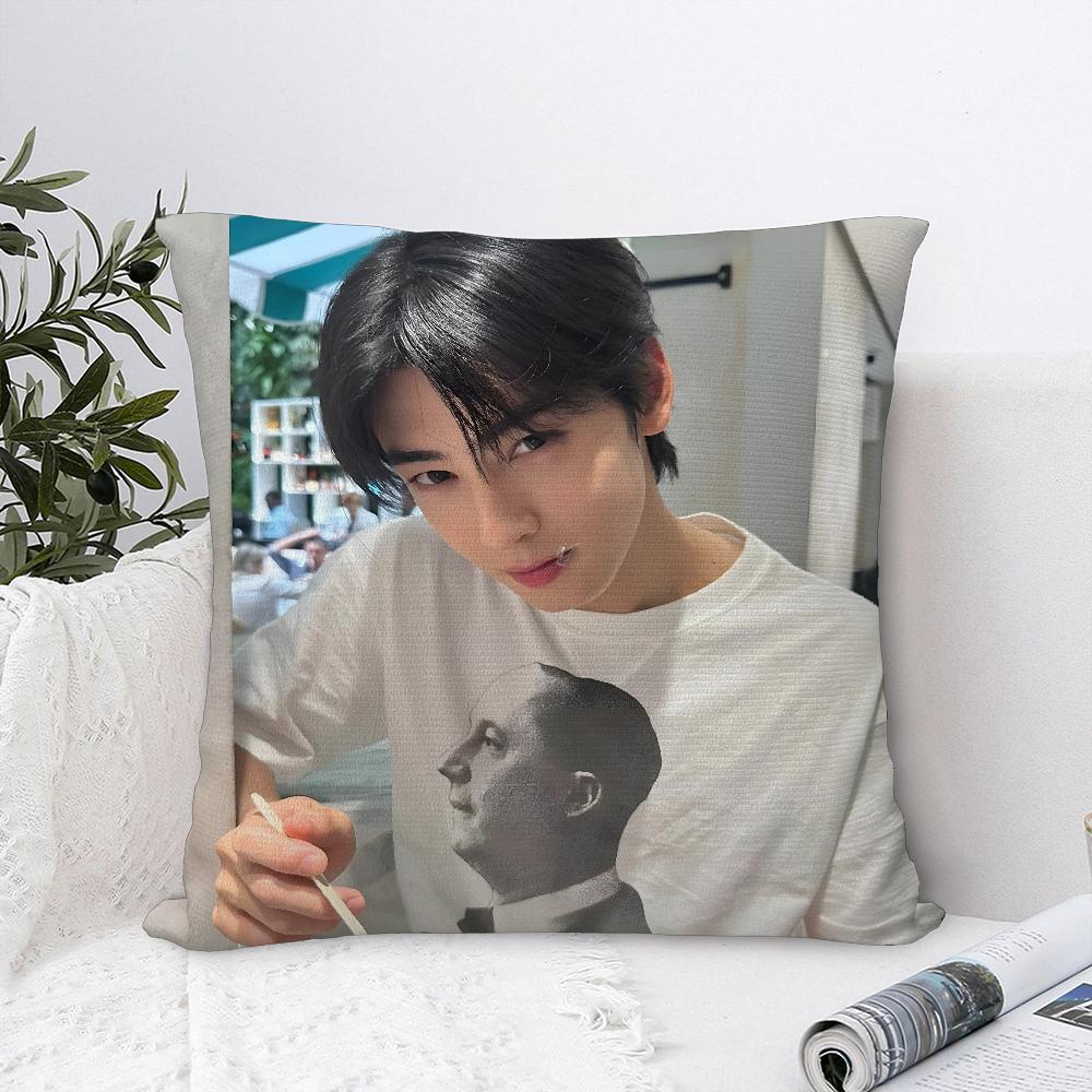 Kpop Singer Cha E-Eun W-Woo Pillow Case Plush Fabric Soft  Pillowcase Double Sided Print   Cushion Cover Throw Pillow Cover