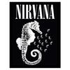 Seahorse Framed Poster