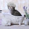 Waterproof Pet Shower Hat Satin Eva Material Reusable Bath Ear Cover for Cats Dogs Puppies Adjustable Chin Strap Comfortable