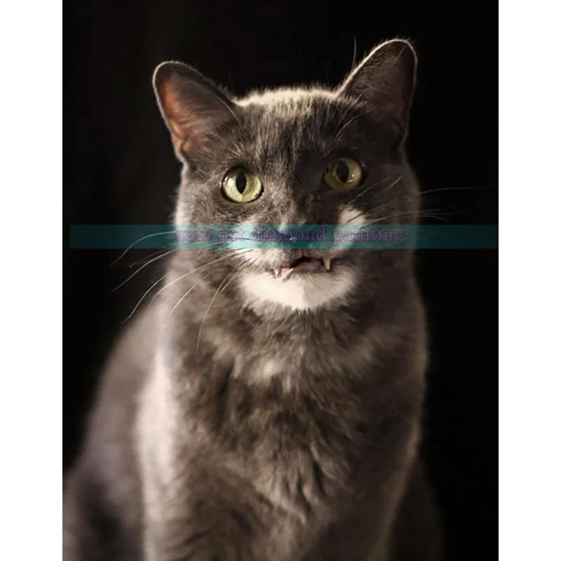 Винтажный плакат с кошкой Ретро алюминиевая металлическая табличка 20x30 см