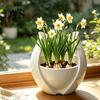Moderner Schreibtisch-Blumentopf Tulpenblütenform Pflanzgefäß, 3D-gedruckter Dekorativer Topf, Hydroponischer Innenraum-Pflanztopf Minimalistischer Behälter für Zuhause Büro