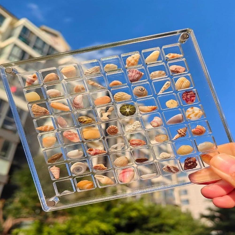 36/64/100 Grids Acrylic Seashell Display Case Stackable Magnetic Diamond Gemstone Beads Storage Display Box Jewelry Display Case