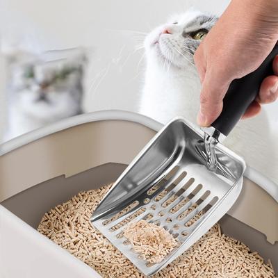 Katzen – Katzenpflege