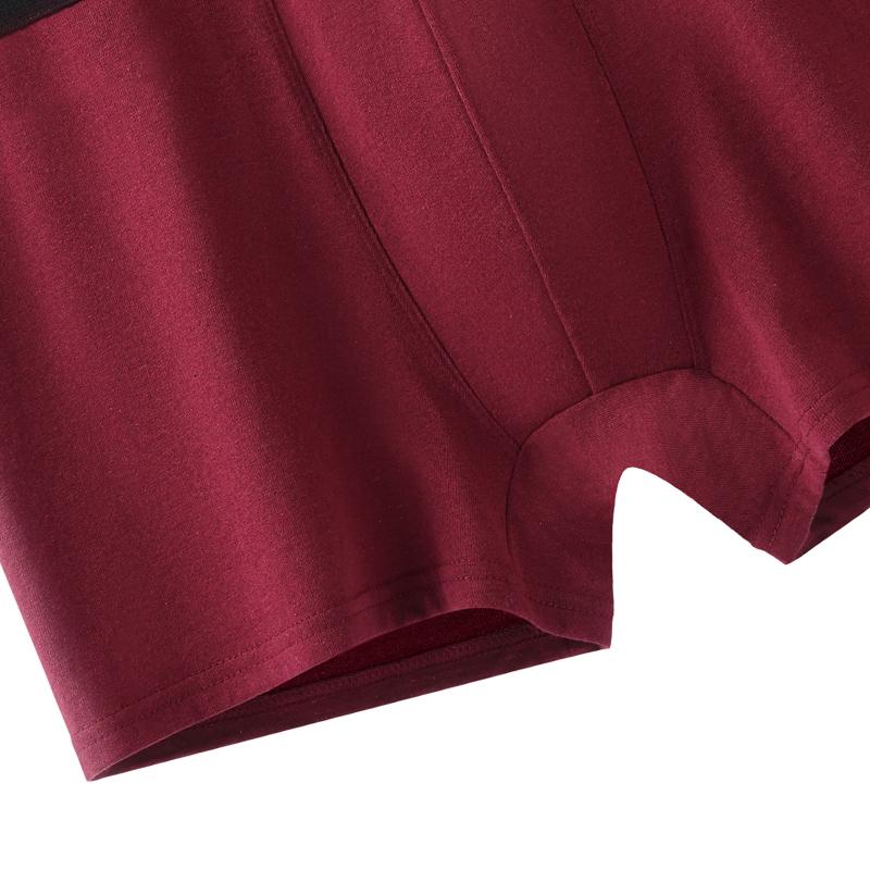 6pcs Boxers Sous-vêtements Homme Coton Slips Homme Sexy Lettre Bande Élastique Sous-vêtements Pour Homme Caleçons