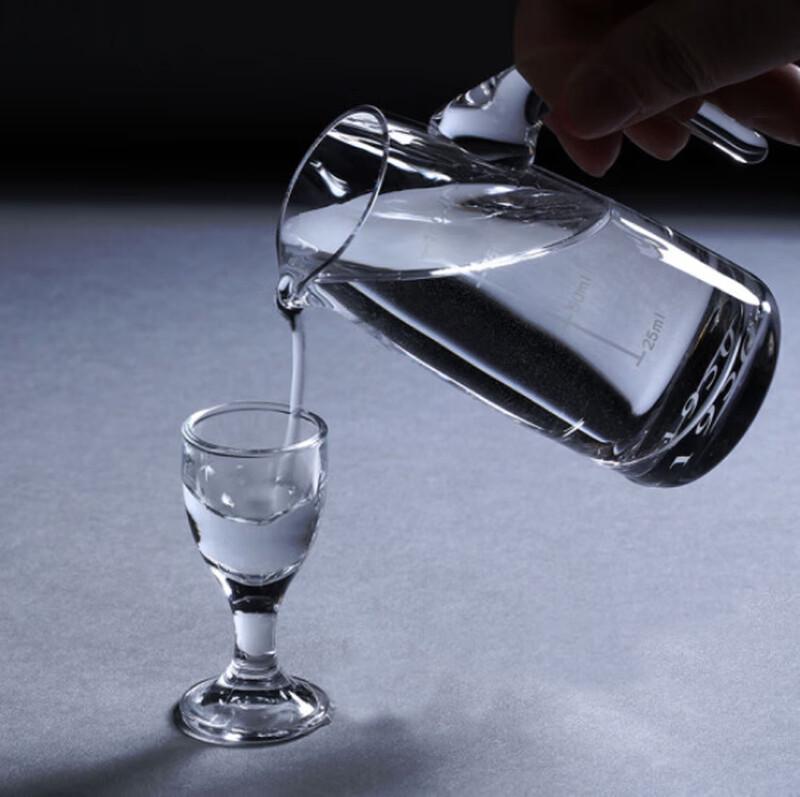Shangqi Calibrated Wine Decanter Set