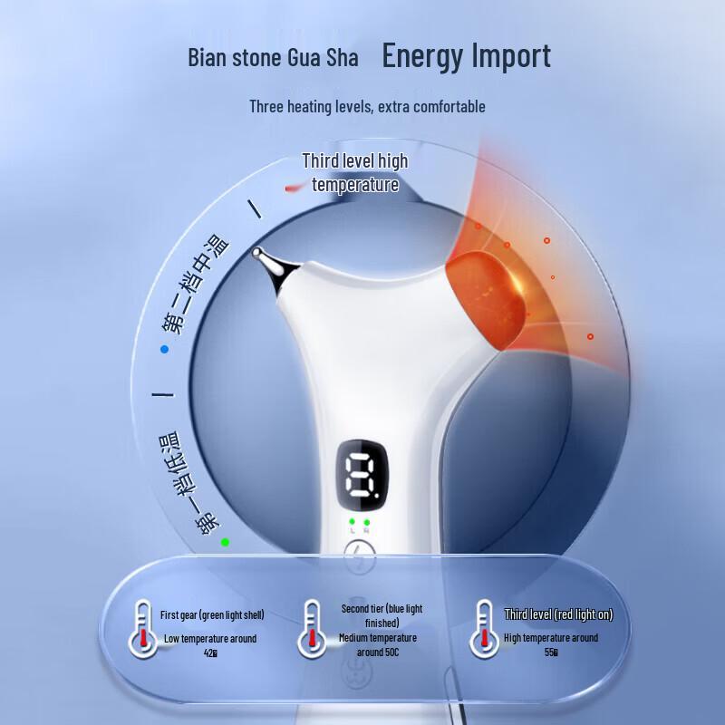 Ruichu Electronic Acupoint Meridian Massager CN plug (adapter included)