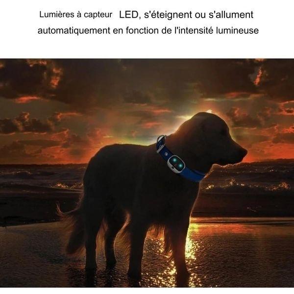 4G Waterproof GPS Tracker Real Time Tracking for Animals