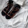 [BIARRITZ/26SS] Rosetta See-through Half-Rib Crew Socks 2 colors