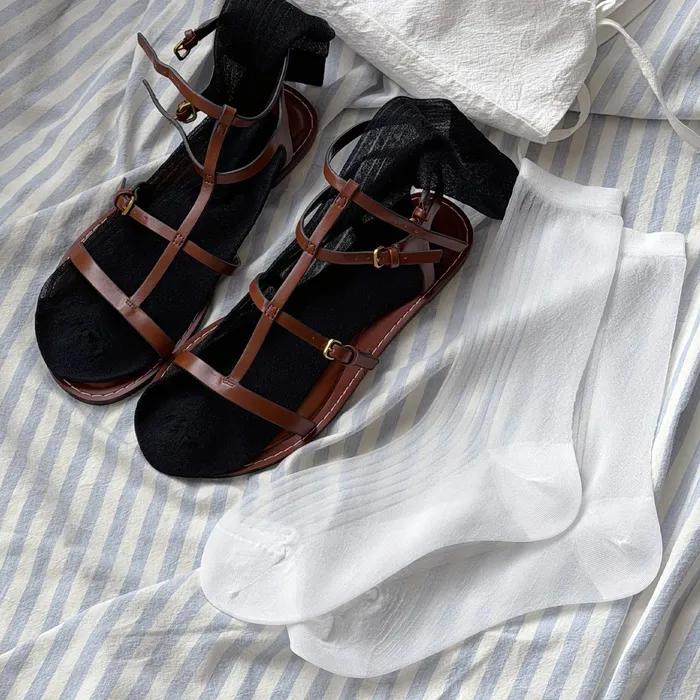 [BIARRITZ/26SS] Rosetta See-through Half-Rib Crew Socks 2 colors