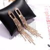 S925 Silver Needle Full Diamond Long Tassel Earrings - European & American Fashion, Exaggerated Celebrity Style Dangle Earrings for Women