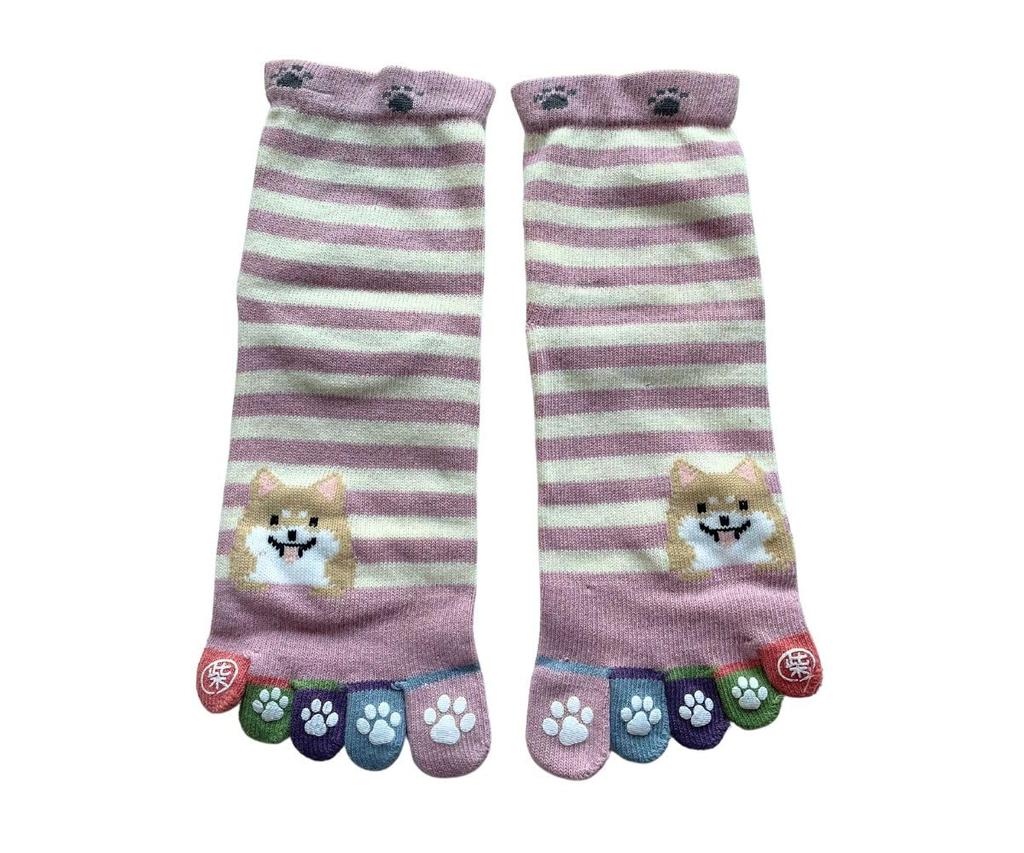 Socks for Cotton Outer 3 Socks for Animal Set Are Up To 5-toe Women, 100% Yarn, Pairs, 5-toe Women, Border, Pattern, Loose, Cuff, 3-pair (colors You)