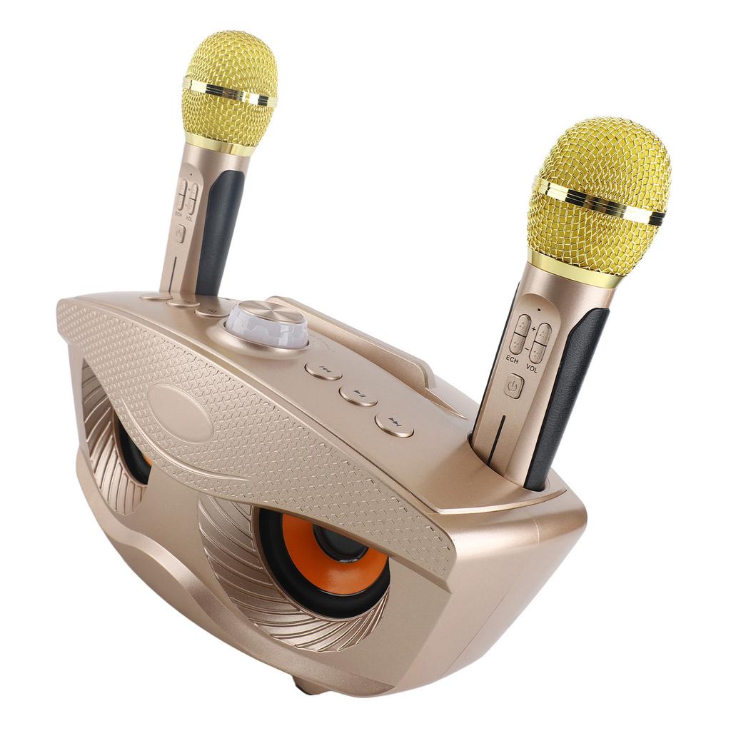 Speaker Home KTV Karaoke   Speaker with Two Microphone (Black)