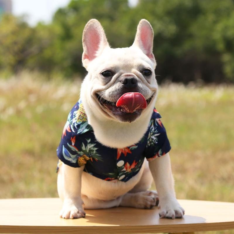 Lovely Puppy Beach Shirt Shirt T-shirt Shirt Pineapple Beach Outfit Shirt Costume Pet Outfit Party