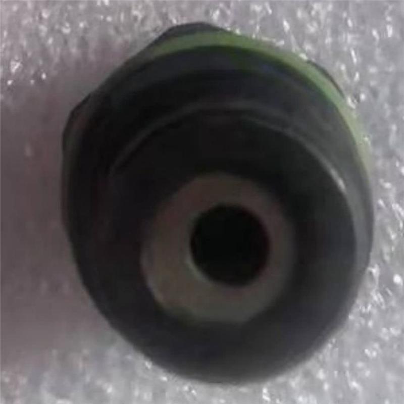 Automobile General Injection Valve High Pressure Oil Pump Relief Valve F00N200798-A91R