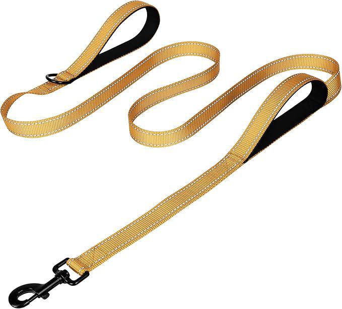 Double Layer Explosion-Proof Reflective Dog Leash - Shock-Absorbing, Thickened Pet Leash