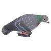 Simulation Pigeon Synthetic Resin Vivid Simulation Bird for Home Decoration Holiday Decoration Educational Toys Type 1