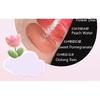 GOGO TALES - Pink Mirror Lipstick - 4 Colors
