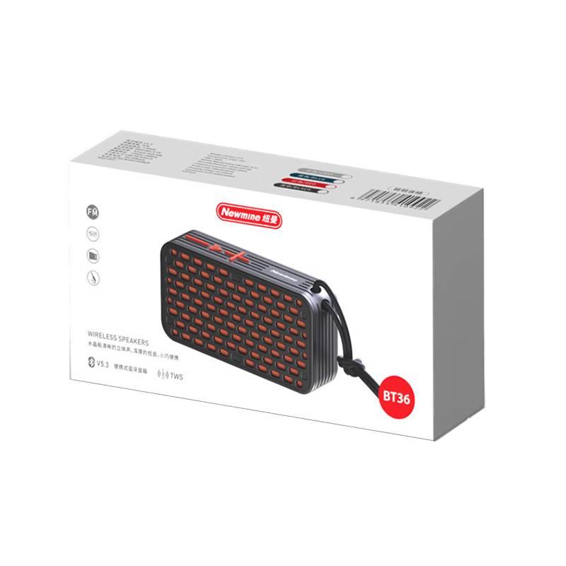 Newman BT36 Portable TWS Bluetooth 5.3 Speaker