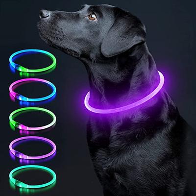Köpek – Köpek Tasmaları ve Tasma Kayışları