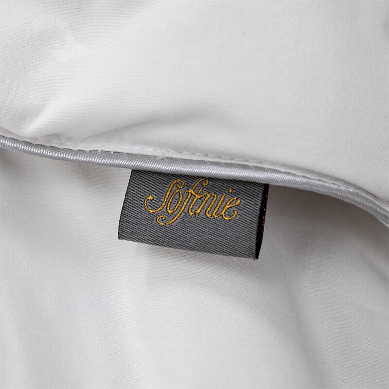 Softnie Lanyue Series Mulberry Silk Quilt