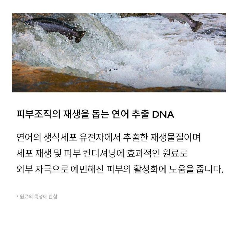 Genabelle PDRN Rejuvenating Cream