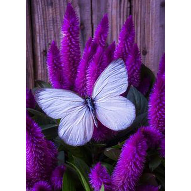 DIY 5D Diamond Painting Butterfly Full Round Drill Floral Diamond Embroidery Cross Stitch Mosaic Wall Art Home Decor Gift