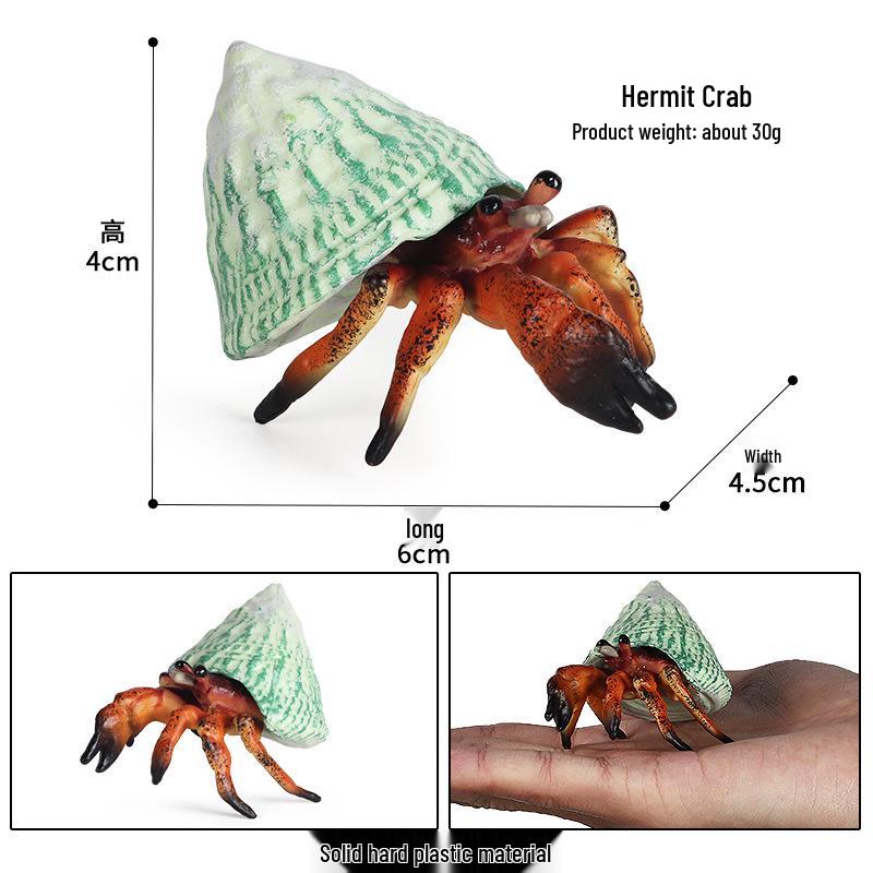 Children's Cognitive Marine Animal Model: Hermit Crab Ornament for Fish Tank