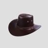 Leder Western Cowboyhut Stierkopf Zubehör Herren und Damen Cowboyhut Mode Reise Partyhut sombrero vaquero
