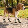 4PCS Adjustable Anti Slip Dog Socks Breathable Puppy Shoes Socks Pet Foot Covers  Outdoor Use