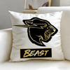 Fodera per Cuscino Mr Beast, Celebrità Popolare di Internet, Morbida e Facile da Lavare – Versatile per Divano, Letto, Viaggio e Ufficio