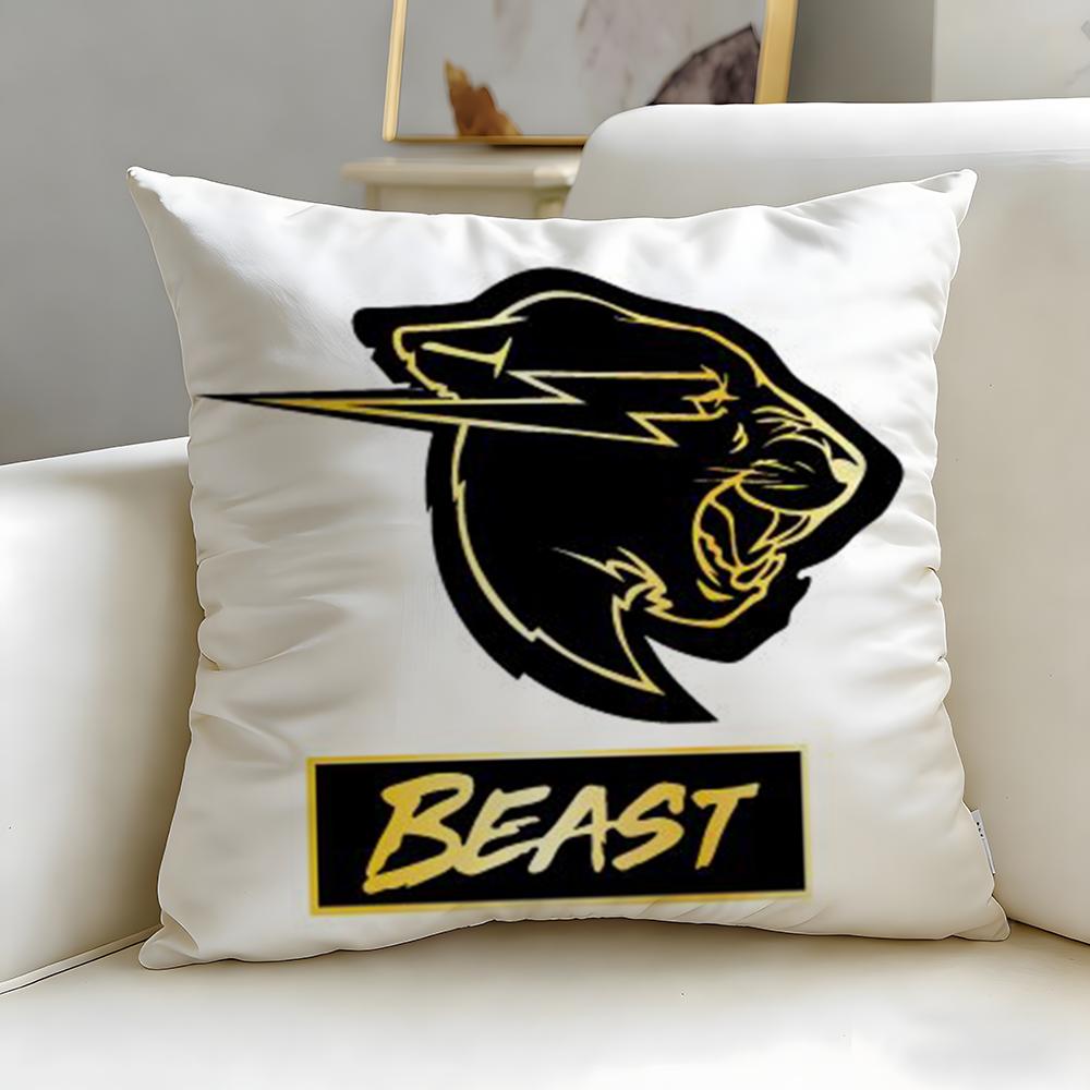

popular internet celebrity Mr Beast Cushion Cover Soft & Easy-Wash Pillow Case – Versatile for Couch, Bed, Travel and Office 40cmx40cm