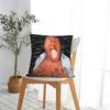Ishowspeed Face Meme Pillow Case Retro Trendy Pillow Cover Soft Pillowcases For Chair Sofa Home Decor