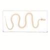 Snake Skeleton Specimen Gothic Natural Science Decor Home Office Desk Curiosity Ornament Acrylic Material Special Gift