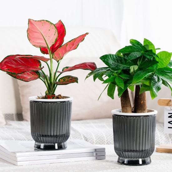 Self Watering Plant Pot Plastic Flower Pot with Water Reservoir Wick Ropes Modern Indoor Planter for Home Office