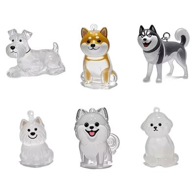 1/6Pcs Clear Pet Hair Memorial Keychain Dog Furs Collector Keepsakes Plastic Storage Box For Dog Cats Lover Gift
