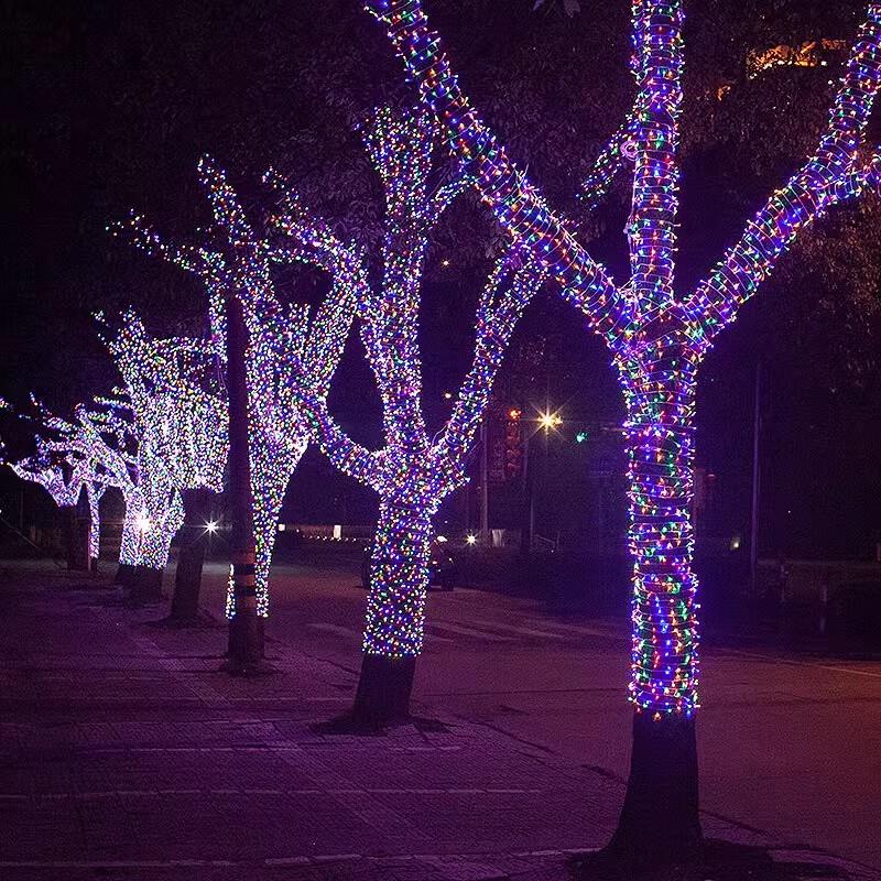 Outdoor Holiday String Lights