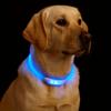 USB Rechargeable LED Dog Collar with 3 Adjustable Modes Safe Reflective Glowing Pet Collar for Night Walking Waterproof