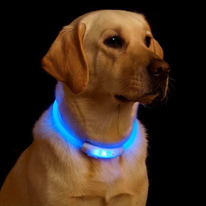 USB Rechargeable LED Dog Collar with 3 Adjustable Modes Safe Reflective Glowing Pet Collar for Night Walking Waterproof