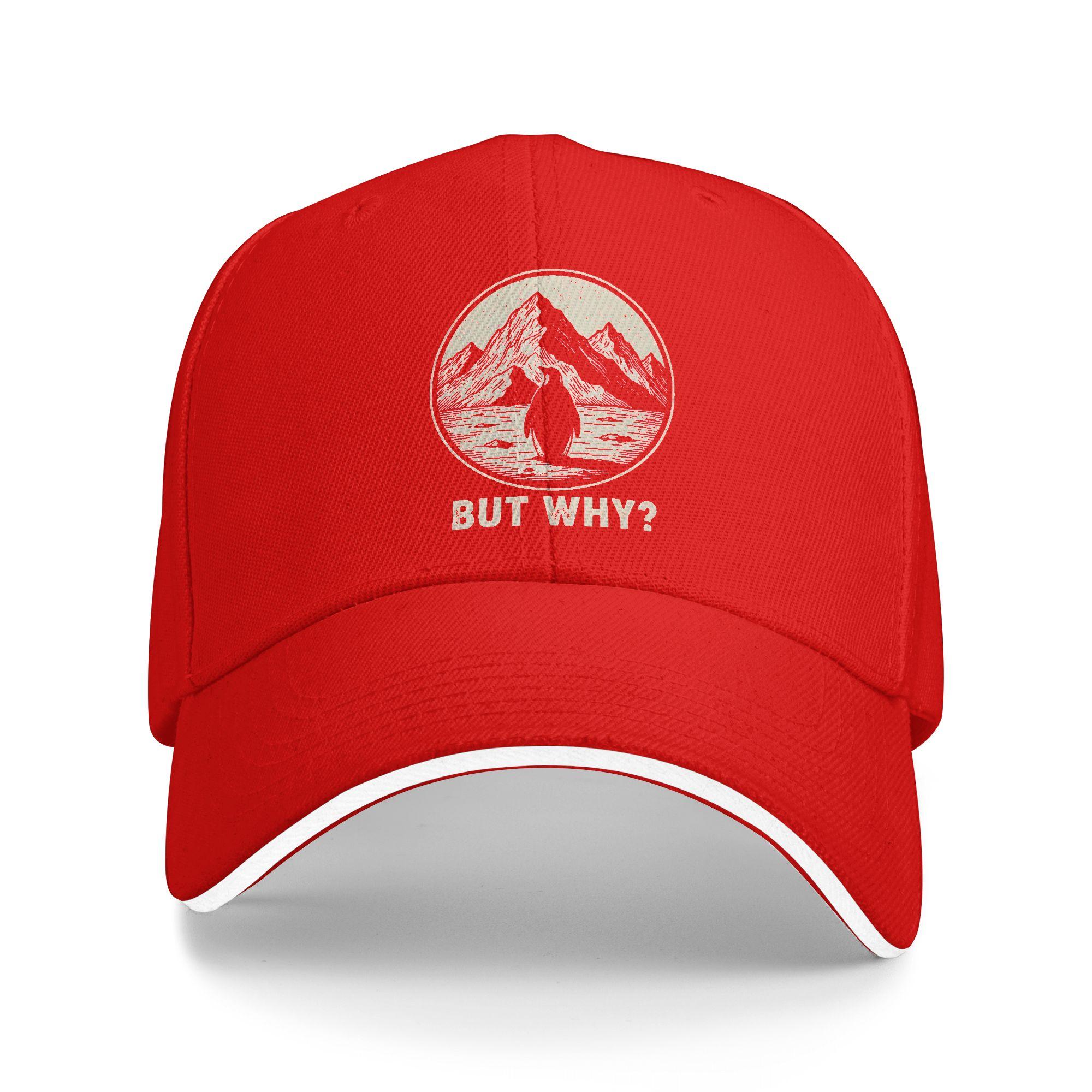

Nihilist Penguin But Why Retro Baseball Cap Unisex Print Trucker Hat Summer y2k Cool Outdoor Sports Breathable Baseball Caps One Size