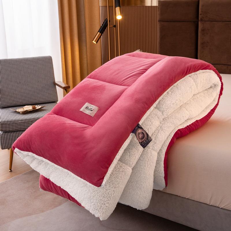Double-Sided Lambswool Fleece Quilt: Thick, Warm Comforter for Winter, Spring, and Autumn