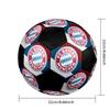 FC Bayern Munich Indoor Soccer Ball Colorful Machine Stitched PVC Size 5 Team Training Competition Ready Durable High-Bounce Cool Sports Gift