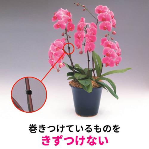 3M Binding One-Touch Belt Black 12.7mm x 3m 3 Rolls (Loop Fastener Tape Cord Wiring Winding) NC-2272R3-3P