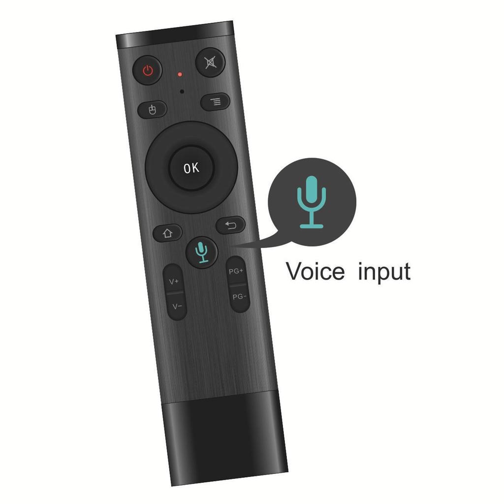 Q5 TV Voice Remote Air Mouse 2.4G Wireless Remote Controller with Axis Gyroscop Sensor for Smart TV