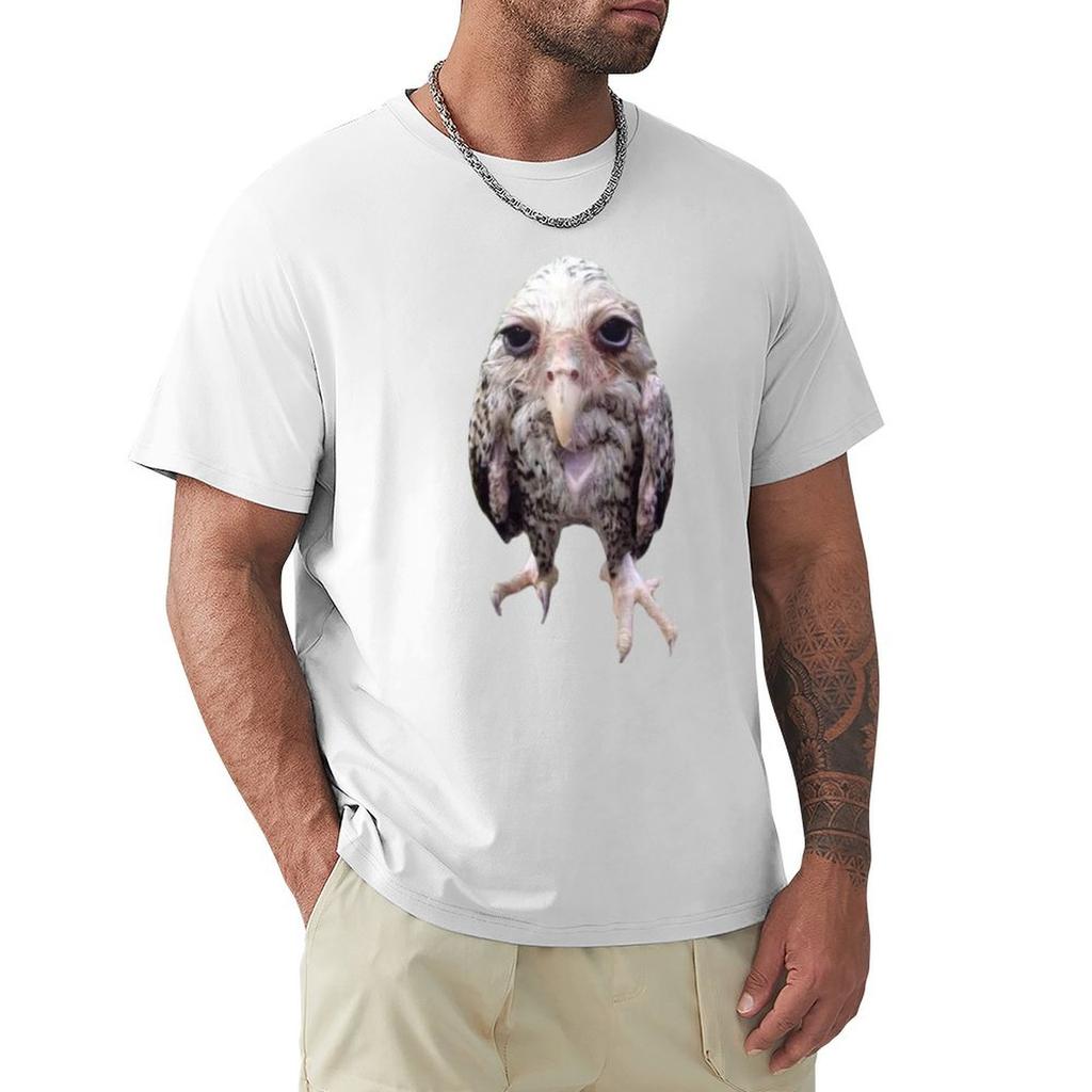 Wet Owl Funny Meme Tshirt Casual Graphic Print Tee